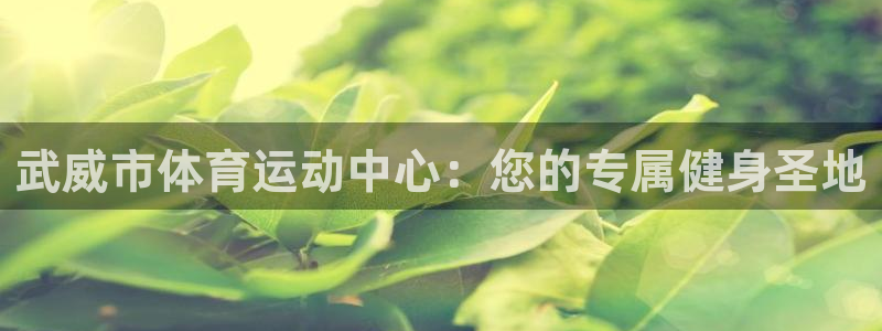 JJB竞技宝官方正版app科技:武威市体育运动中心:您的专属