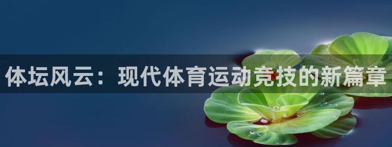 JJB竞技宝官网下载招商:体坛风云:现代体育运动竞技的新篇章